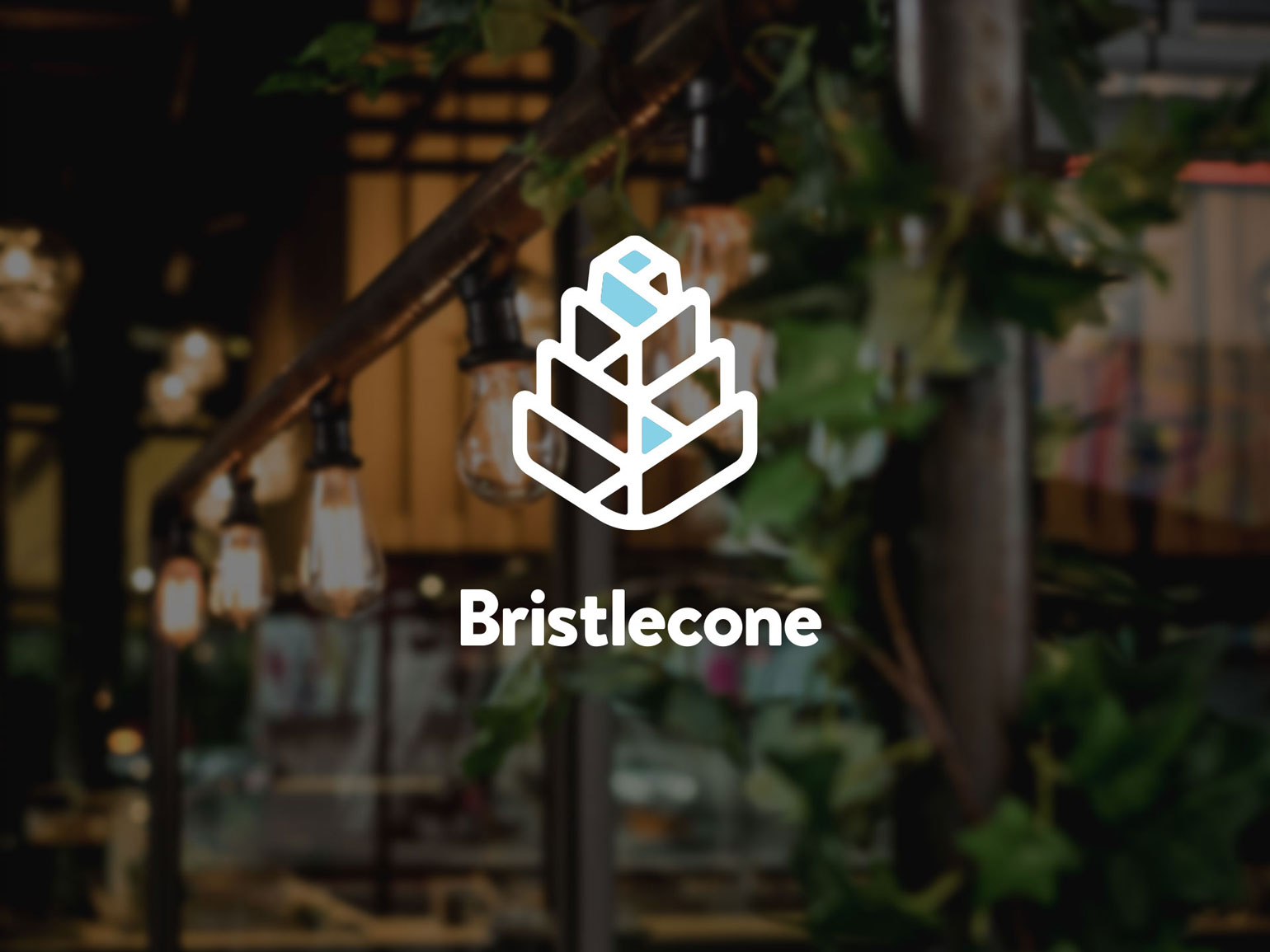 Bristlecone Identity 2