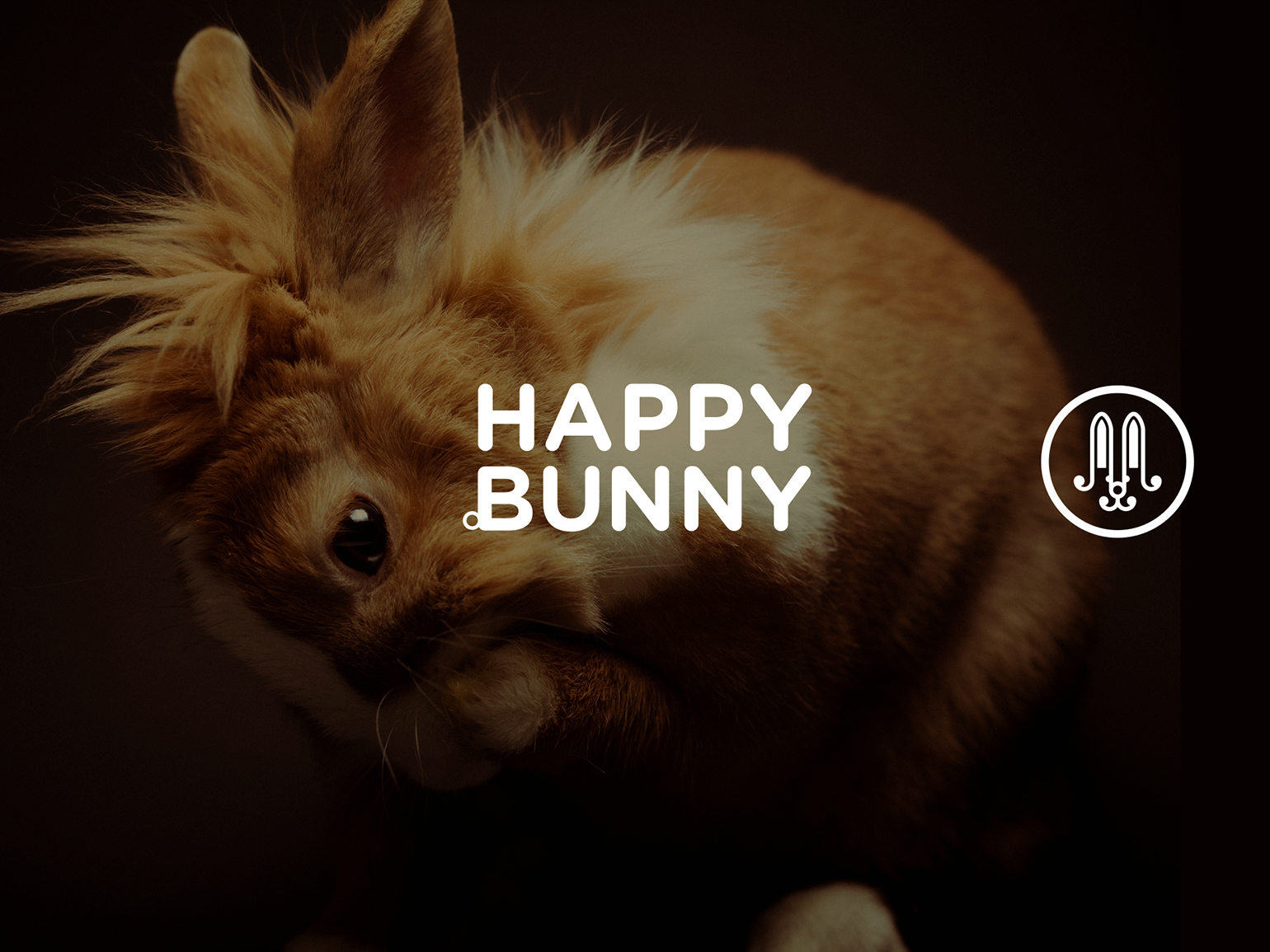 Happy Bunny 1