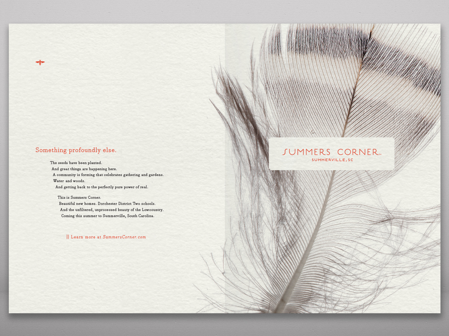 Summers Corner Feather Spread 1