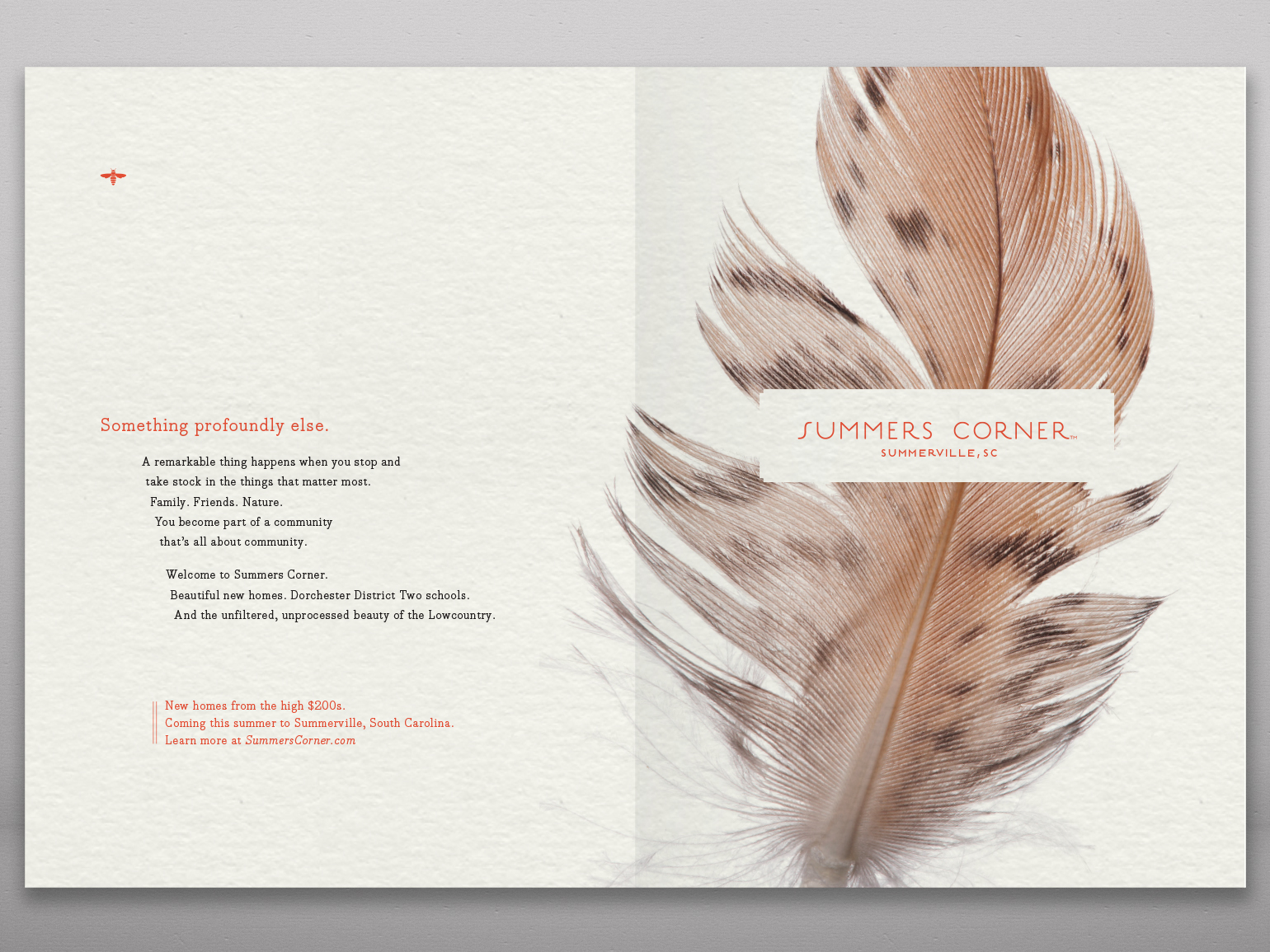 Summers Corner Feather Spread 2