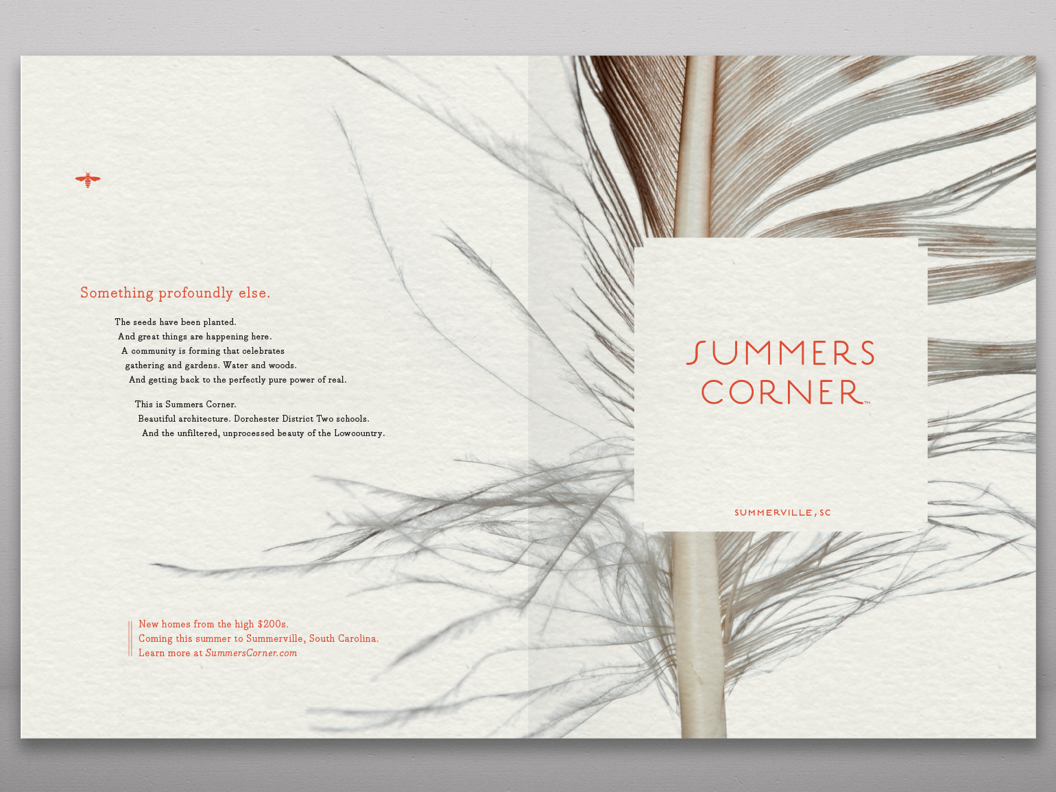 Summers Corner Feather Spread 3