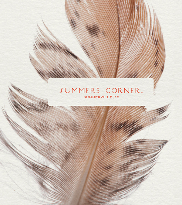 summers-corner-feather