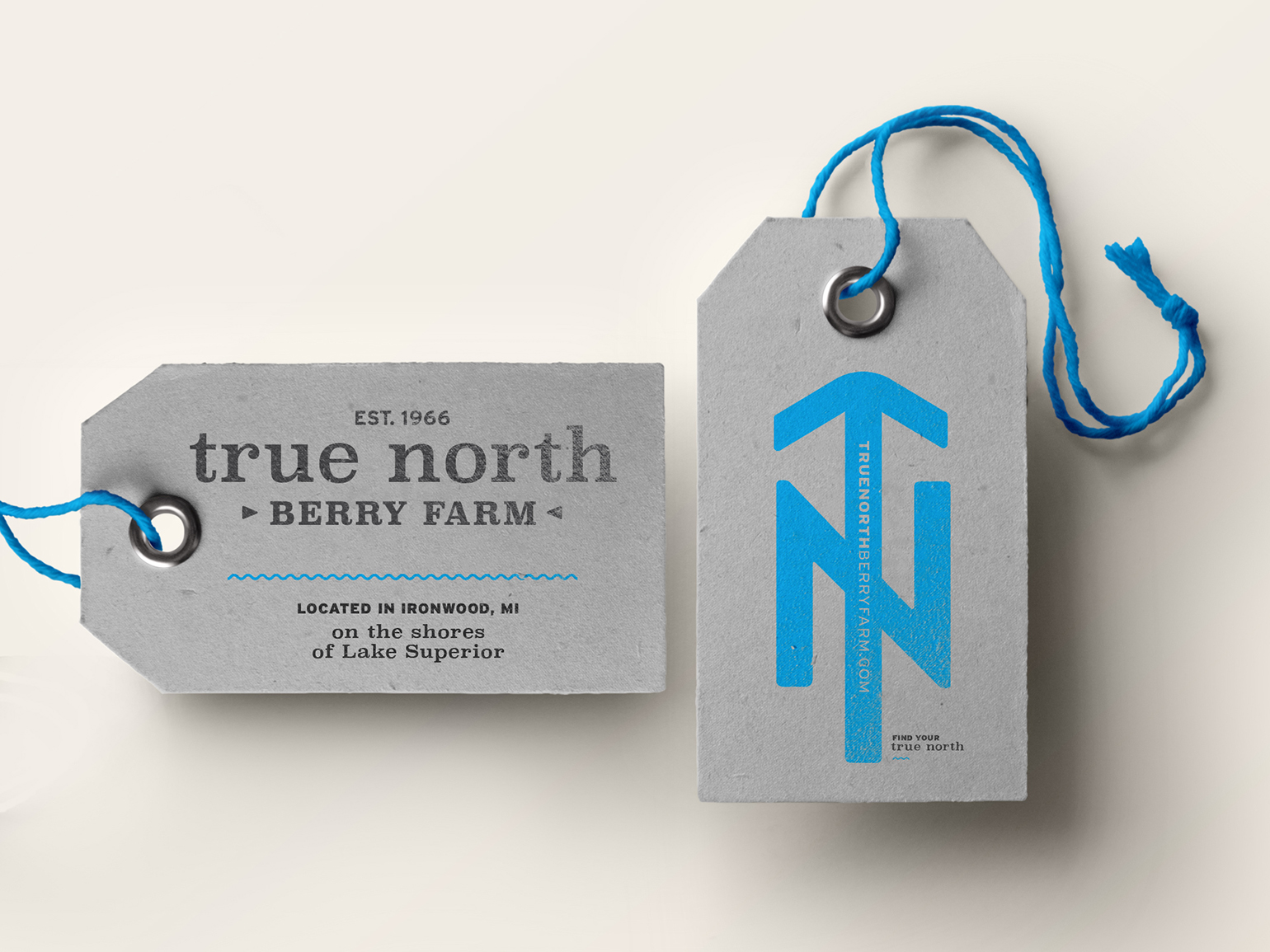 True North Identity 3